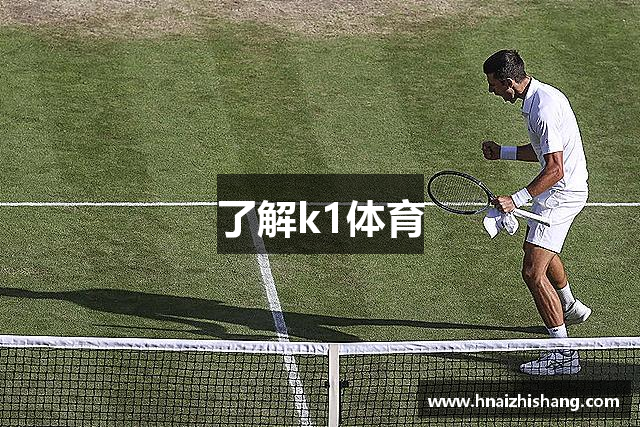 了解k1体育